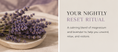 Load image into Gallery viewer, Kavora Reset Mist
